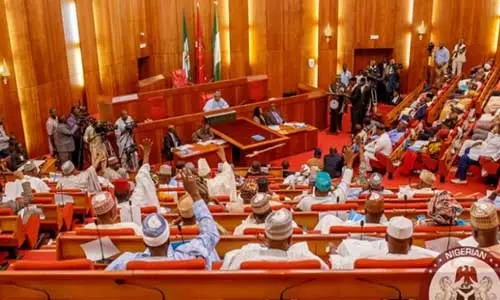 Senate in rowdy session over leadership positions