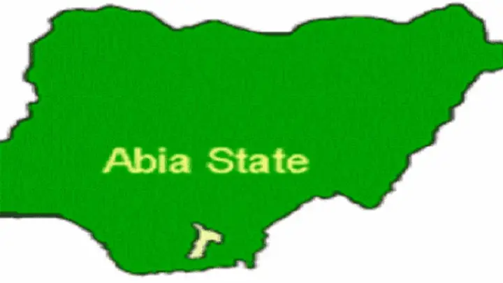 Girl Flogged By Mother Goes  Missing In Abia