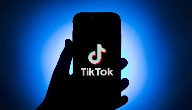 France joins 25 other countries to ban TikTok