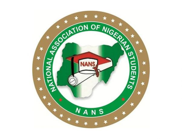 NANS opposes six-year term for president, govs