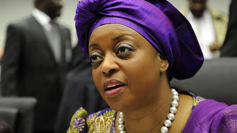 US govt returns $52.88m linked to ex-Petroleum Minister, Diezani