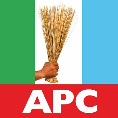 South East APC Professionals Demand Disqualification of Chief Obinna Uzor Over Alleged Forgery